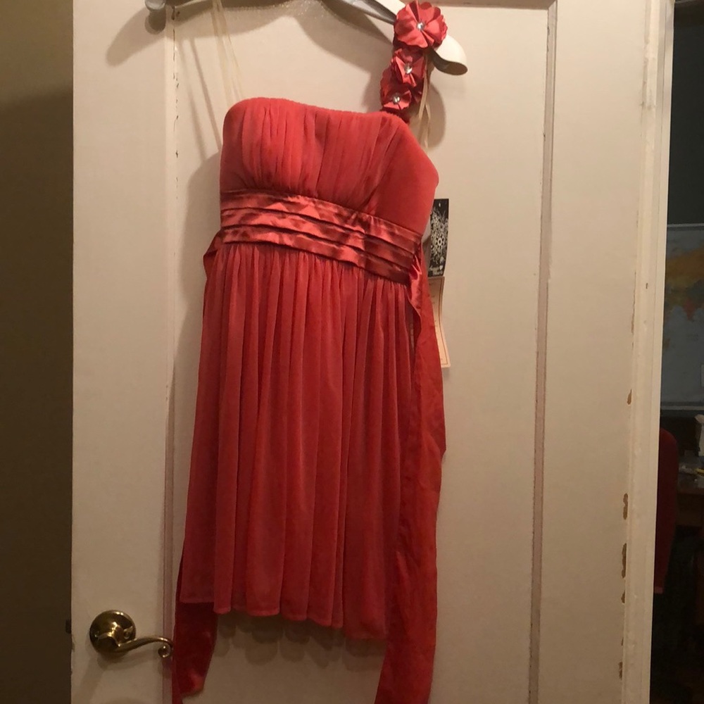 NWT Short pink floral dress